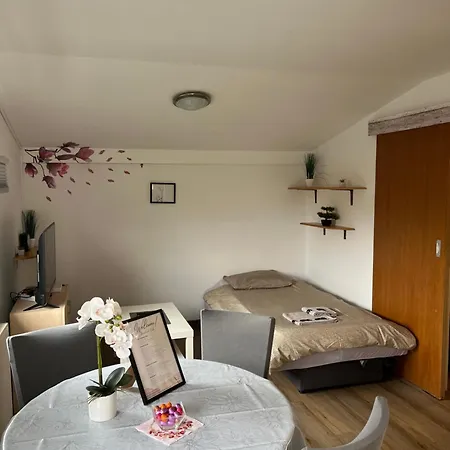Апартаменты Apartma Golovec Любляна